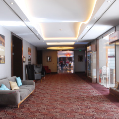 Celik Palace Hotel Convention Center & Thermal SPA - Bild 15