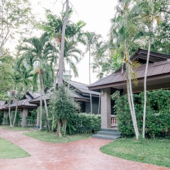 Frank Ao Nang Krabi Resort - Bild 20