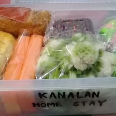 Kanalan Homestay - Bild 11