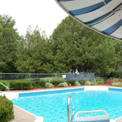 T-Bird Motor Inn thumbnail 13