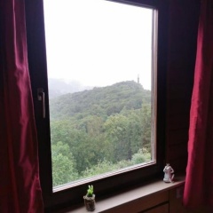 Zur schönen Aussicht - Bild 7