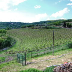 Quaint Farmhouse in Montepulciano with Pool thumbnail 6
