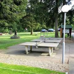 Bocksbergblick Appartement 507 im Ferienpark Hahnenklee Haus 1 - Bild 6