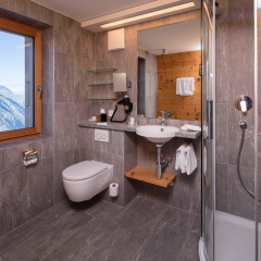 Riffelhaus 1853 - Bild 6
