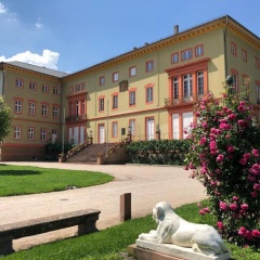 Apartmenthaus Schlosspark - Bild 8