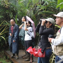 Yatama Ecolodge Sarapiqui thumbnail 7