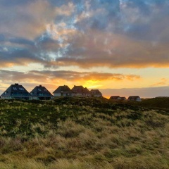 Strandkrone - Bild 13