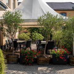 Hotel am Schlosspark - Bild 11