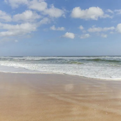 Surfside Six E by Distinctive Beach Rentals thumbnail 13