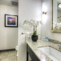 Hampton Inn Houston I-10 East thumbnail 18