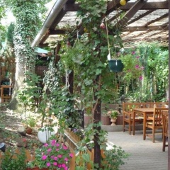 Gasthof  Pension Hause - Bild 11