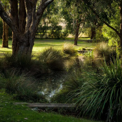 The Burrow At Wombat Bend thumbnail 20