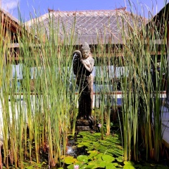Villa Bahagia - Bild 6