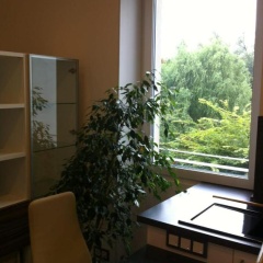 Joanna Apartment - MA Rheinau 3 - Bild 1