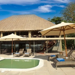 Impala Ecolodge thumbnail 10