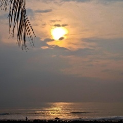 Umadewi Surf & Retreat - Bild 19