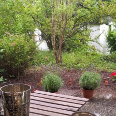 Cityappartement Österberg - Bild 8