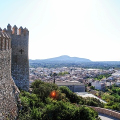 Exclusive Mansion in Arta Majorca With Swimming Pool - Bild 14