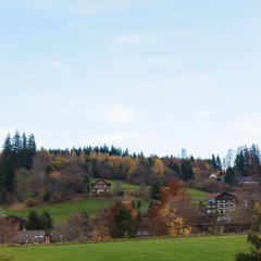 Vitusfort - Bild 13