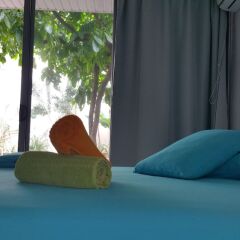 Paofai Guesthouse in Papeete, French Polynesia from 122$, photos, reviews - zenhotels.com photo 7