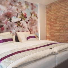 Hotel Paidion - Bild 5