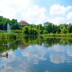 Hotel Schwaiger - Bild 15