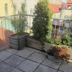 Hotel Spirit - Bild 11