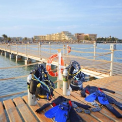 Pickalbatros White Beach Resort - Hurghada - Bild 21