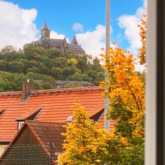 Ferienapartment HarzZeit - Bild 10
