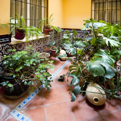 Adriano Hotel Boutique Sevilla - Bild 1