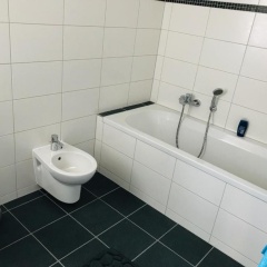 Haus an den Elbwiesen - Bild 3