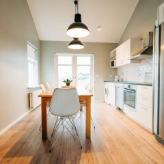 Baldur Apartments in Reykjavik, Iceland from 371$, photos, reviews - zenhotels.com photo 2