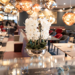 PLAZA Premium Heidelberg - Bild 28