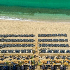 Royalisa Palmiye Beach +14 Adult Only Hotel - Bild 23