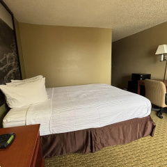 Super 8 by Wyndham Pontiac thumbnail 23