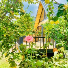Garden Bungalows and Suites - Bild 12
