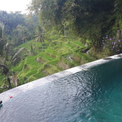 Wedang Villa - Bild 2