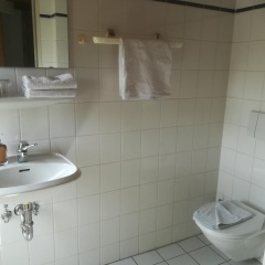 Hotel Löwenhof - Bild 8