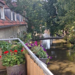 Altstadtapartment an der Krämerbrücke - Bild 9