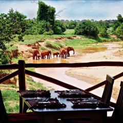 Manyatta Camp thumbnail 12