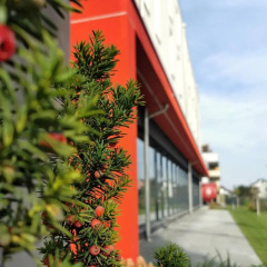 DORMERO JeHo Graz Airport - Bild 21