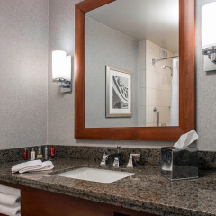 Rochester Airport Marriott thumbnail 11