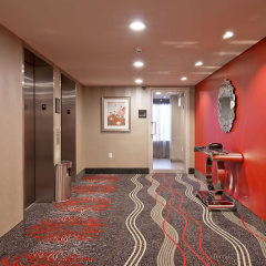 Hampton Inn & Suites by Hilton Toronto Markham thumbnail 27