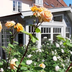 Meeresleuchten - Bild 13