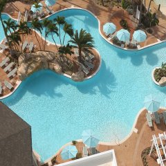 Warwick Paradise Island- All Inclusive- Adults Only in Paradise Island, Bahamas from 496$, photos, reviews - zenhotels.com photo 10