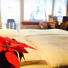 Hotel Antares - Bild 4