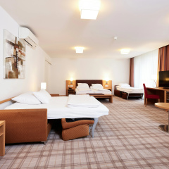 Central City Hotel Rochat - Bild 5
