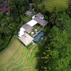 Villa Amrita - Bild 17
