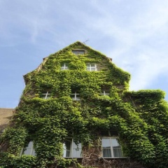 Hotel Am Ratshof - Bild 1