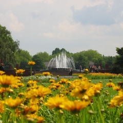 Messezimmer 4u - Bild 11